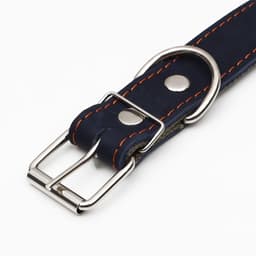 Ошейник комбинированный, безразмерный, 70×3.5 см, ОШ 25-60 см, кожа, брезент, синий