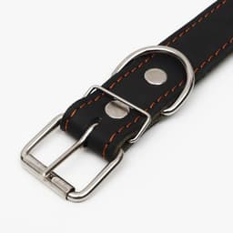 Ошейник комбинированный кожа/брезент, 69×3.5 см, ОШ 45-60 см, чёрный