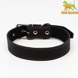 Ошейник, 70×3.5 см, ОШ 45-60 см, на синтепоне, кожа, чёрный