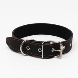 Ошейник, 70×3.5 см, ОШ 45-60 см, на синтепоне, кожа, чёрный
