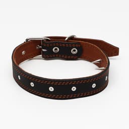 Ошейник «Строгий шип», 70×3.5 см, ОШ 45-60 см, кожа, чёрный