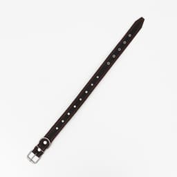 Ошейник «Строгий шип», 70×3.5 см, ОШ 45-60 см, кожа, чёрный