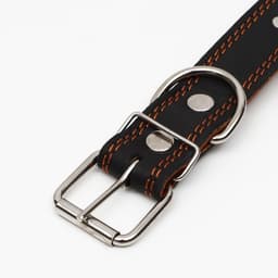 Ошейник «Строгий шип», 70×3.5 см, ОШ 45-60 см, кожа, чёрный