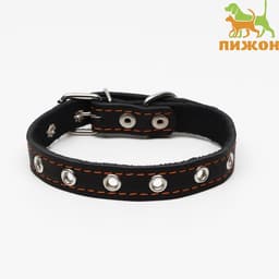 Ошейник кожаный однослойный безразмерный, 45×2 см, ОШ 18-39 см, чёрный