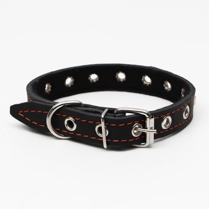 Ошейник украшенный, безразмерный, 47×2 см, ОШ 28-39 см, на синтепоне, кожа, чёрный