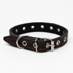 Ошейник украшенный, безразмерный, 47×2 см, ОШ 28-39 см, на синтепоне, кожа, чёрный