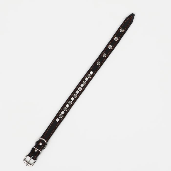 Ошейник украшенный, безразмерный, 47×2 см, ОШ 28-39 см, на синтепоне, кожа, чёрный