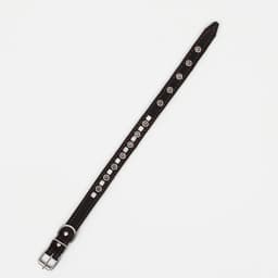 Ошейник украшенный, безразмерный, 47×2 см, ОШ 28-39 см, на синтепоне, кожа, чёрный