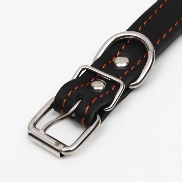 Ошейник украшенный, безразмерный, 47×2 см, ОШ 28-39 см, на синтепоне, кожа, чёрный