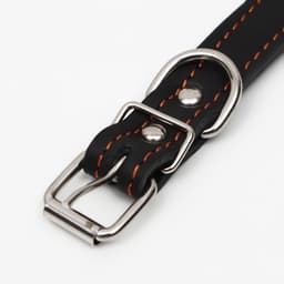 Ошейник украшенный, безразмерный, 47×2 см, ОШ 28-39 см, на синтепоне, кожа, чёрный