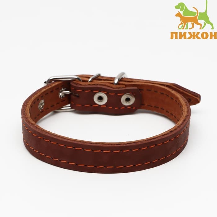 Ошейник кожаный двухслойный, 46×2 см, ОШ 25-35 см, коричневый