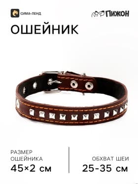 Ошейник украшенный, 45×2 см, ОШ 25-35 см, на синтепоне, кожа, коричневый
