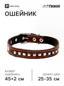 Ошейник украшенный, 45×2 см, ОШ 25-35 см, на синтепоне, кожа, коричневый