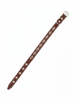 Ошейник украшенный, 45×2 см, ОШ 25-35 см, на синтепоне, кожа, дизайн МИКС, коричневый