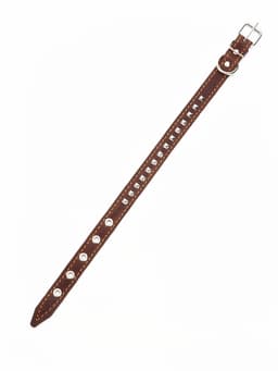 Ошейник украшенный, 45×2 см, ОШ 25-35 см, на синтепоне, кожа, коричневый