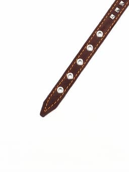 Ошейник украшенный, 45×2 см, ОШ 25-35 см, на синтепоне, кожа, коричневый
