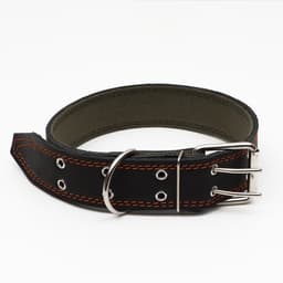 Ошейник комбинированный, 83×4.5 см, ОШ 50-70 см, кожа, брезент, чёрный