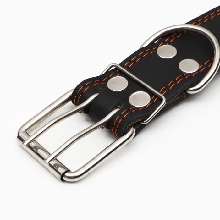 Ошейник комбинированный, 83×4.5 см, ОШ 50-70 см, кожа, брезент, чёрный