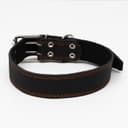 Ошейник кожаный на синтепоне, 82×4.5 см, ОШ 50-70 см, чёрный