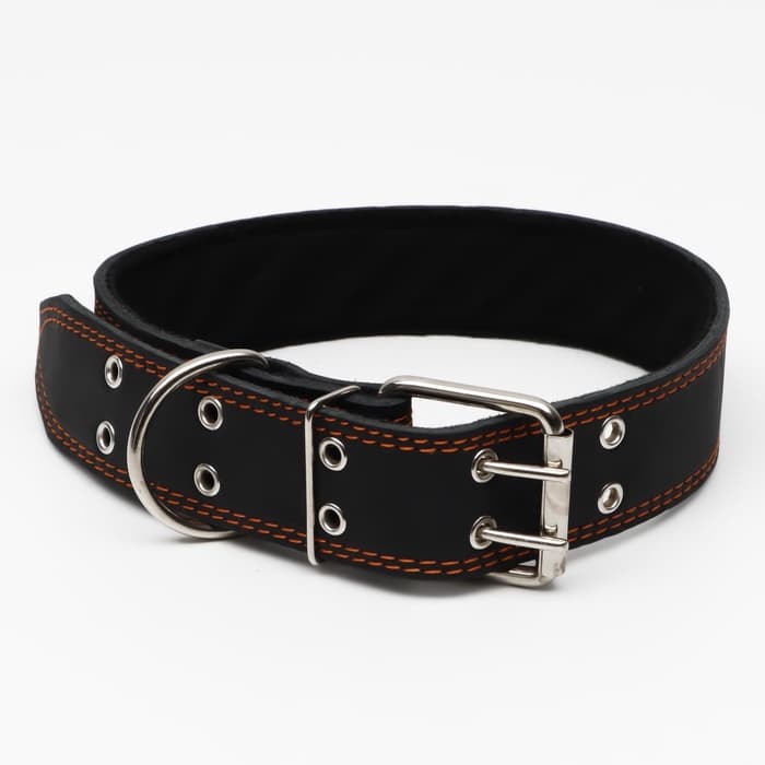 Ошейник кожаный на синтепоне, 82×4.5 см, ОШ 50-70 см, чёрный