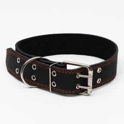 Ошейник кожаный на синтепоне, 82×4.5 см, ОШ 50-70 см, чёрный