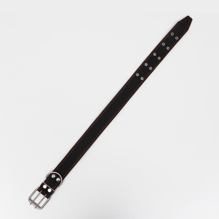 Ошейник кожаный на синтепоне, 82×4.5 см, ОШ 50-70 см, чёрный