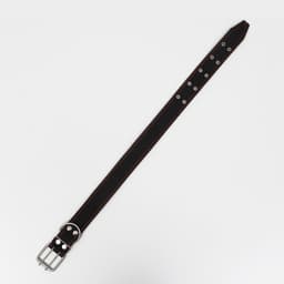 Ошейник кожаный на синтепоне, 82×4.5 см, ОШ 50-70 см, чёрный