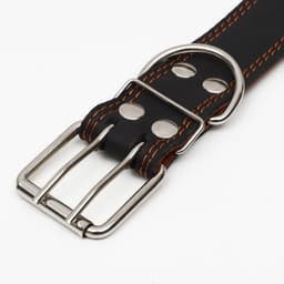 Ошейник двухслойный, 85×4.5 см, ОШ 50-70 см, кожа, чёрный