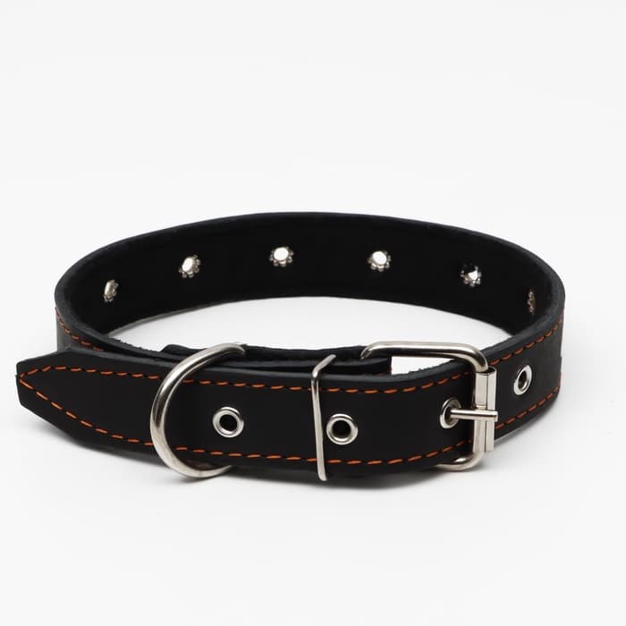 Ошейник кожаный на синтепоне, безразмерный, 65×3 см, ОШ 22-55 см, чёрный