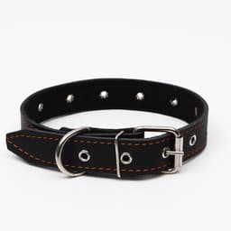 Ошейник кожаный на синтепоне, безразмерный, 65×3 см, ОШ 22-55 см, чёрный