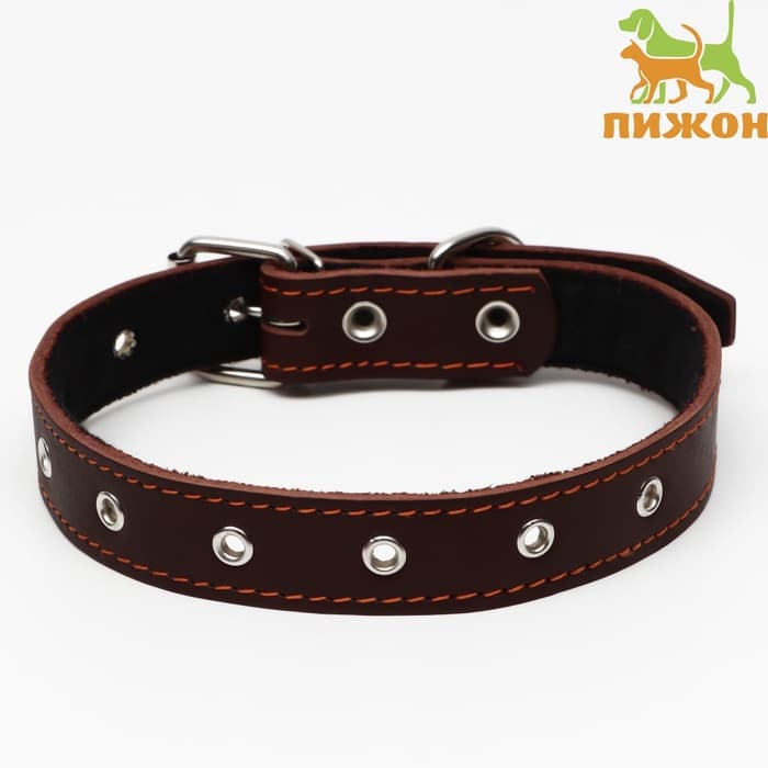 Ошейник кожаный на синтепоне, безразмерный, 65×3 см, ОШ 22-55 см, коричневый
