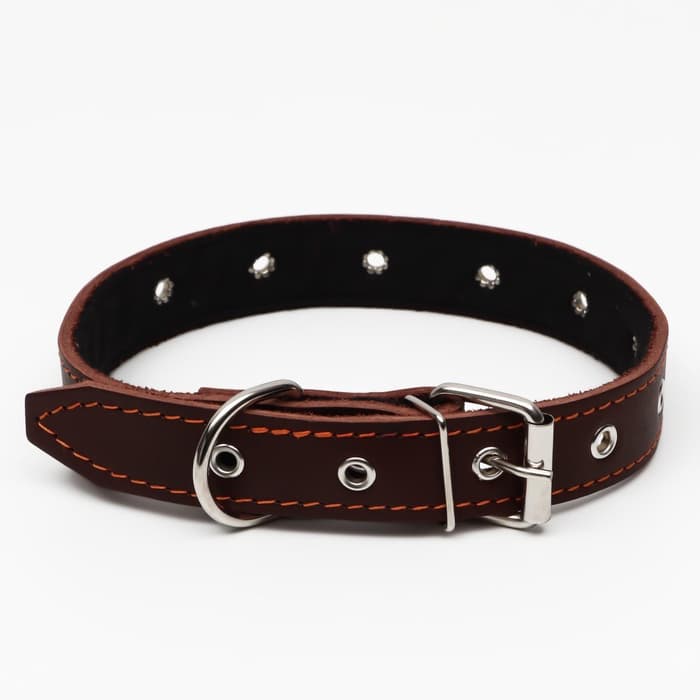 Ошейник кожаный на синтепоне, безразмерный, 65×3 см, ОШ 22-55 см, коричневый