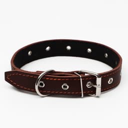 Ошейник кожаный на синтепоне, безразмерный, 65×3 см, ОШ 22-55 см, коричневый