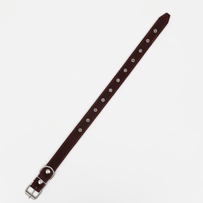 Ошейник кожаный на синтепоне, безразмерный, 65×3 см, ОШ 22-55 см, коричневый