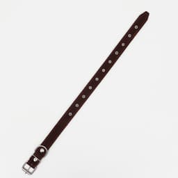 Ошейник кожаный на синтепоне, безразмерный, 65×3 см, ОШ 22-55 см, коричневый