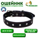 Ошейник кожаный на синтепоне, безразмерный, 65×3 см, ОШ 22-55 см, синий