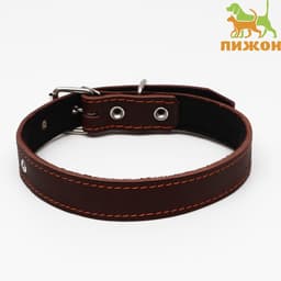Ошейник кожаный на синтепоне, 65×3 см, ОШ 40-55 см, коричневый