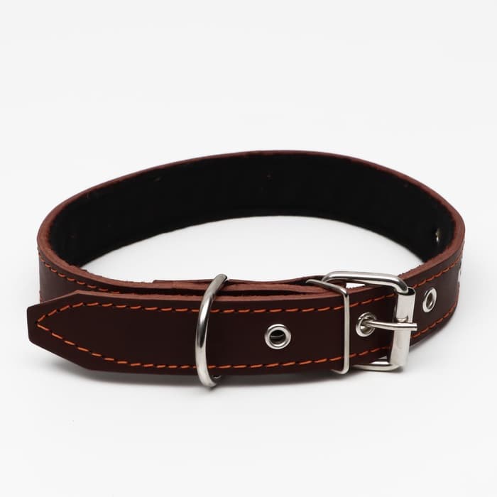 Ошейник кожаный на синтепоне, 65×3 см, ОШ 40-55 см, коричневый