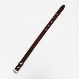 Ошейник кожаный на синтепоне, 65×3 см, ОШ 40-55 см, коричневый