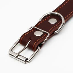 Ошейник кожаный на синтепоне, 65×3 см, ОШ 40-55 см, коричневый