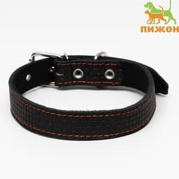 Ошейник кожаный с тиснением на синтепоне, 65×3 см, ОШ 40-55 см, чёрный