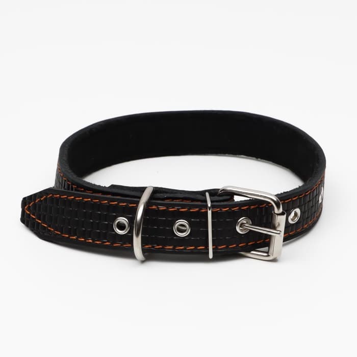 Ошейник кожаный с тиснением на синтепоне, 65×3 см, ОШ 40-55 см, чёрный