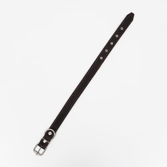 Ошейник кожаный с тиснением на синтепоне, 65×3 см, ОШ 40-55 см, чёрный