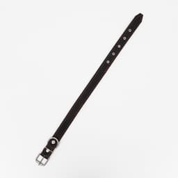 Ошейник кожаный с тиснением на синтепоне, 65×3 см, ОШ 40-55 см, чёрный