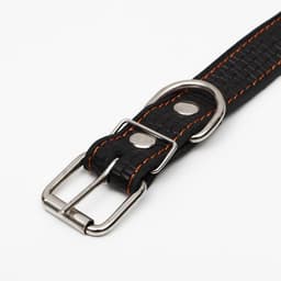 Ошейник кожаный с тиснением на синтепоне, 65×3 см, ОШ 40-55 см, чёрный