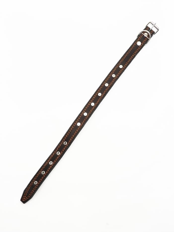 Ошейник кожаный «Строгий шип», 65×3 см, ОШ 40-55 см, чёрный