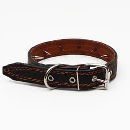 Ошейник кожаный «Строгий шип», 65×3 см, ОШ 40-55 см, чёрный