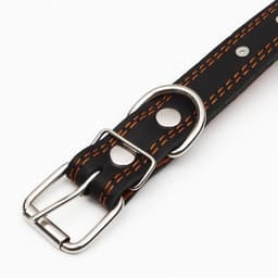 Ошейник кожаный «Строгий шип», 65×3 см, ОШ 40-55 см, чёрный