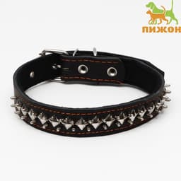 Ошейник кожаный на синтепоне «Ёж», 64×3 см, ОШ 40-55 см, чёрный