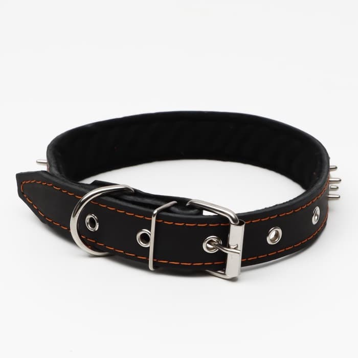 Ошейник кожаный на синтепоне «Ёж», 64×3 см, ОШ 40-55 см, чёрный